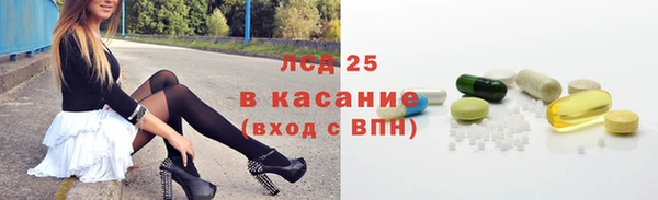 спайс Баксан