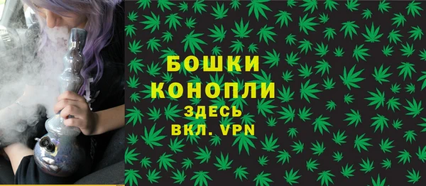 спайс Баксан