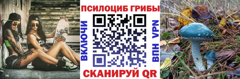 Псилоцибиновые грибы мицелий  закладка  Заволжье 